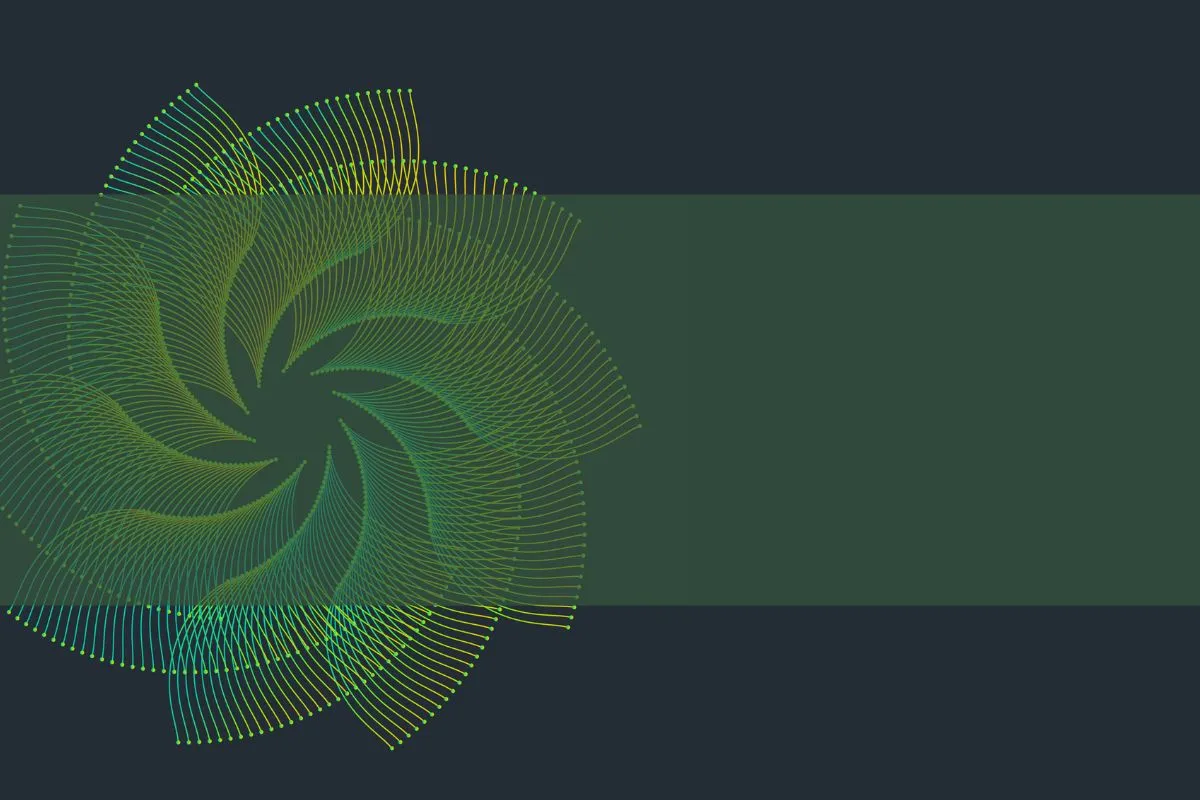 silent-bloom-venture-debts-growing-influence